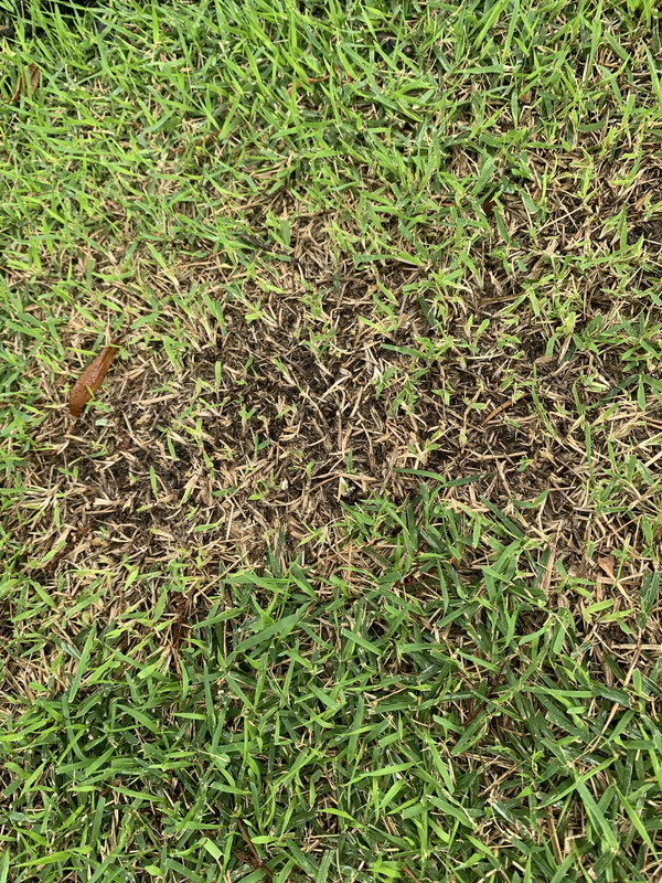 21DFB327-D3AA-400F-890D-9030D8B06E6B