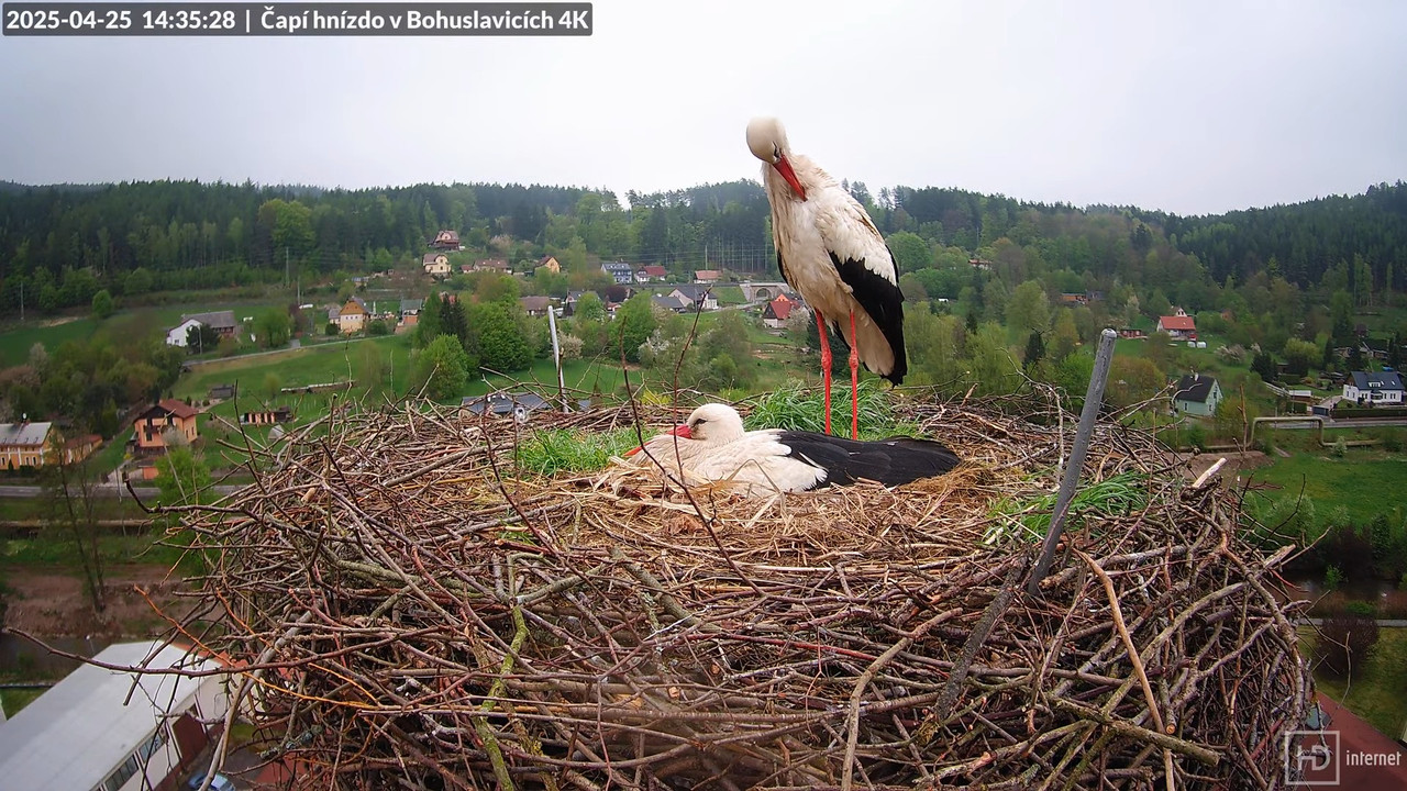 Tiešraidē no uzņēmuma KARA stārķa skursteņa Bohuslavicē pie Trutnovas 17-20-24 screenshot