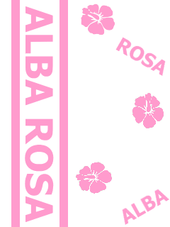 b008