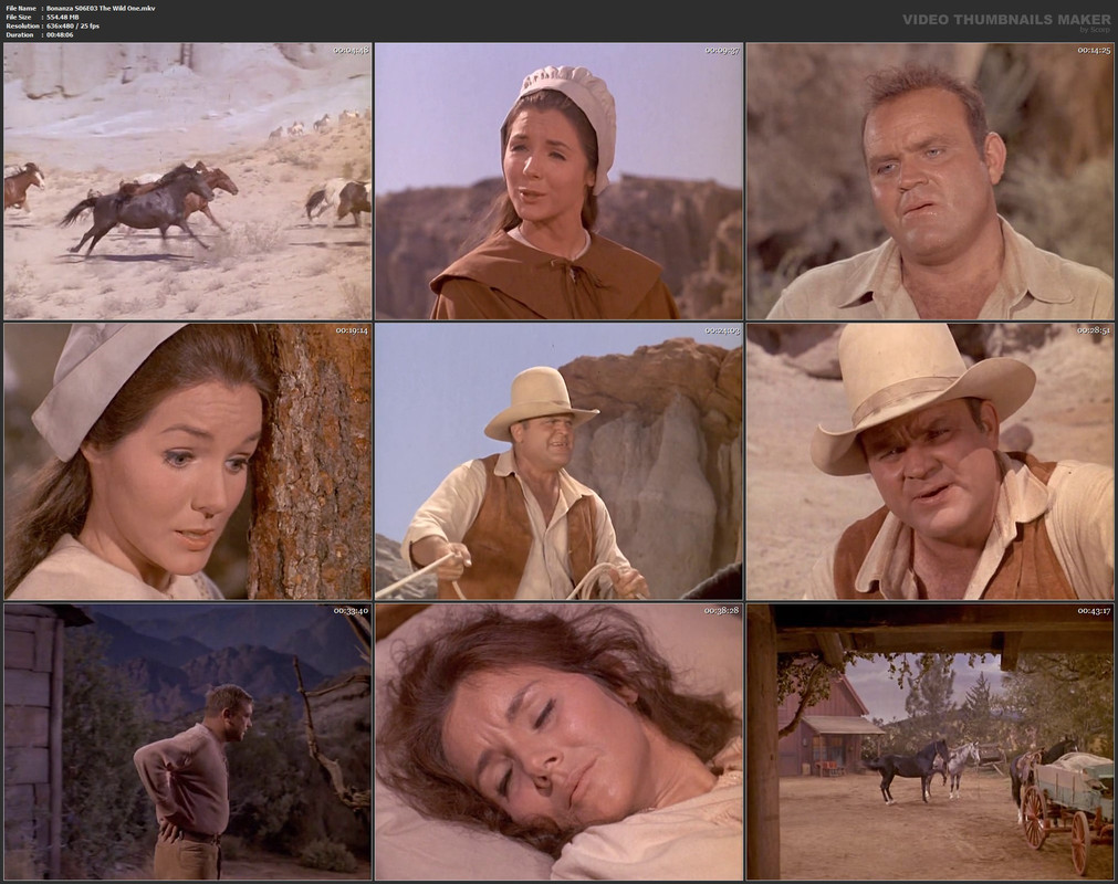 Bonanza S06E03 The Wild One.mkv