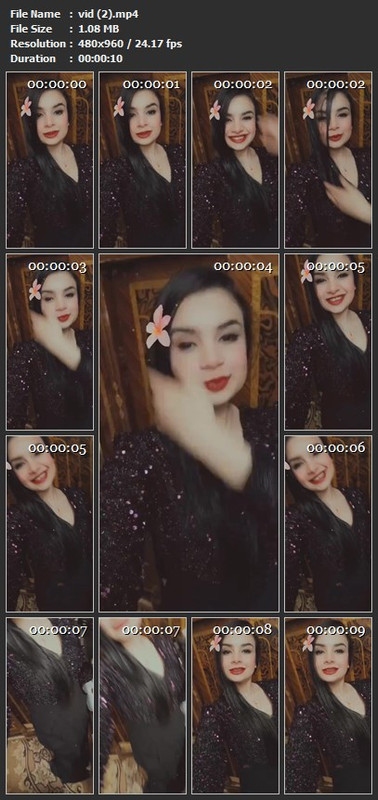 vid (2).mp4