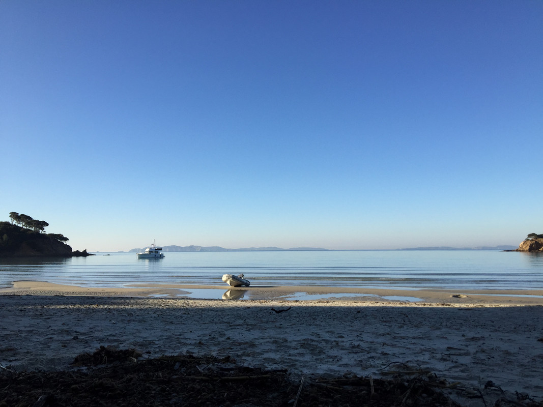 CF9FC1C4-C646-4200-BC96-8FF139759E8C