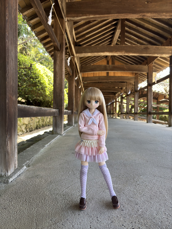 IMG-0672.jpg
