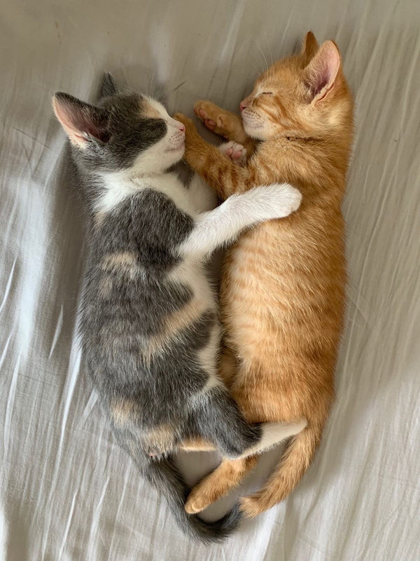 BBCA50A5-332F-46CF-A148-85007BFC73C7