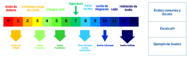 Medición pH en suelos y la importancia de sus nutrientes | HANNA  Instruments Bolivia