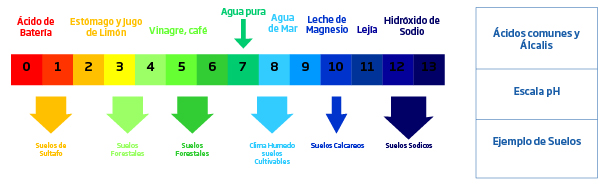 MEDIDOR DE PH DE CONTACTO PARA SUELO (HI99121)