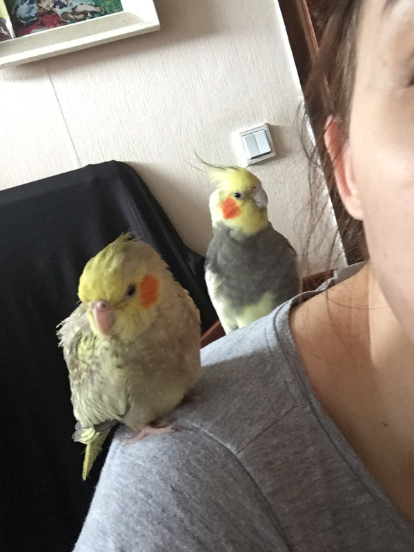 D5EFFA3C-B7FC-4C12-8691-120EAE8E5732