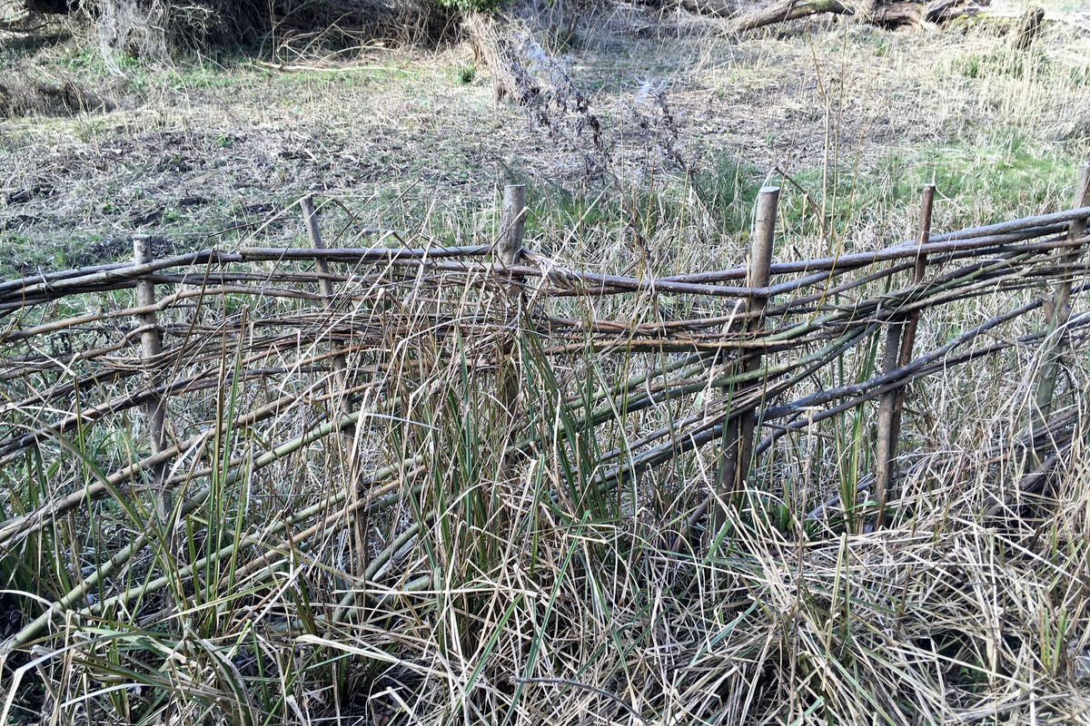 E969D199-E0D6-4D7E-87CD-1168A4A14267