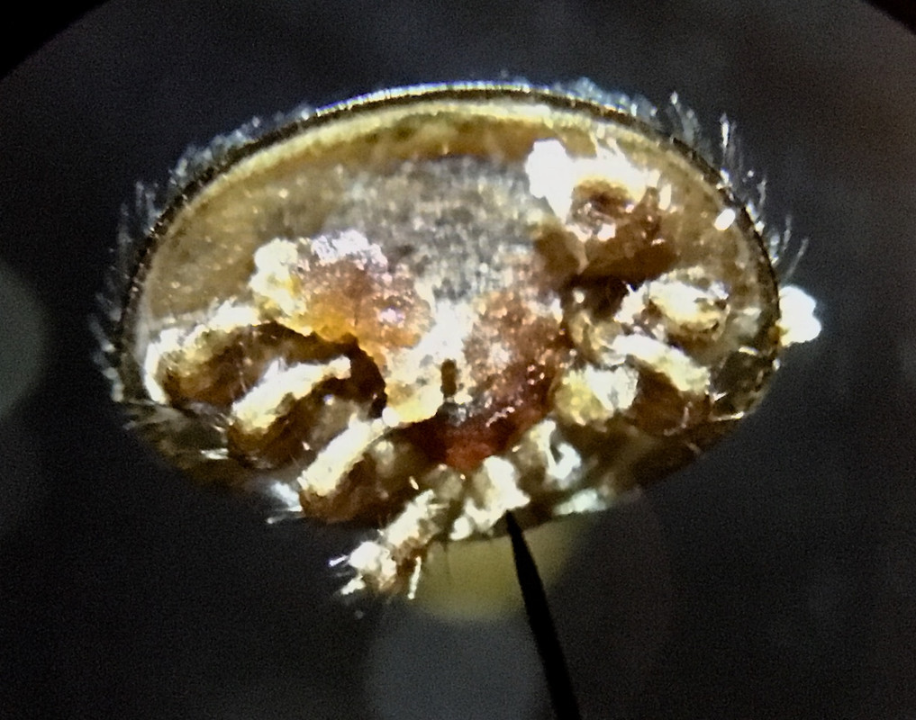 AD4DA8CD-F48D-4F7E-A51D-9A41A191C05F