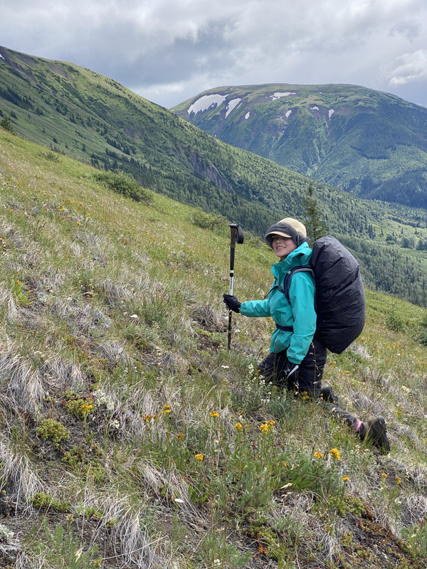 B5DE7EA6-103D-4A15-B34E-A49722DAC546