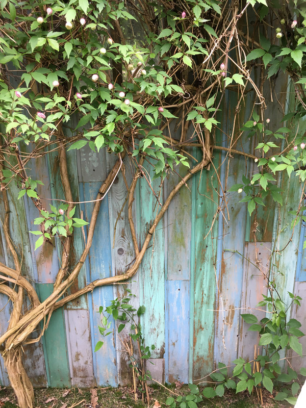 8B9D371A-1EFC-40BD-8DE6-82F92BEB9B65