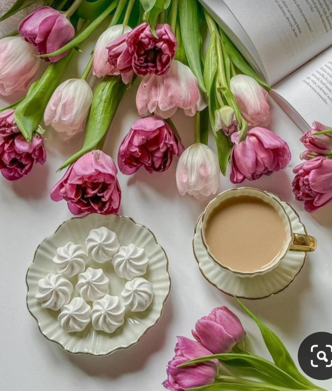 Screenshot_20240424_225608_Pinterest