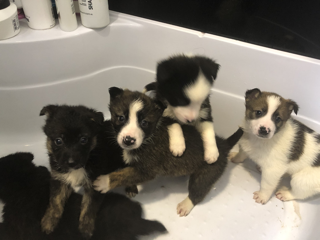 1229D228-A545-460B-8607-862DAE5EC49F