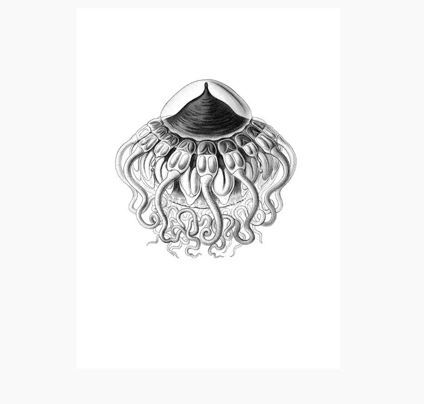 Il Peg M Poss (2020) 3