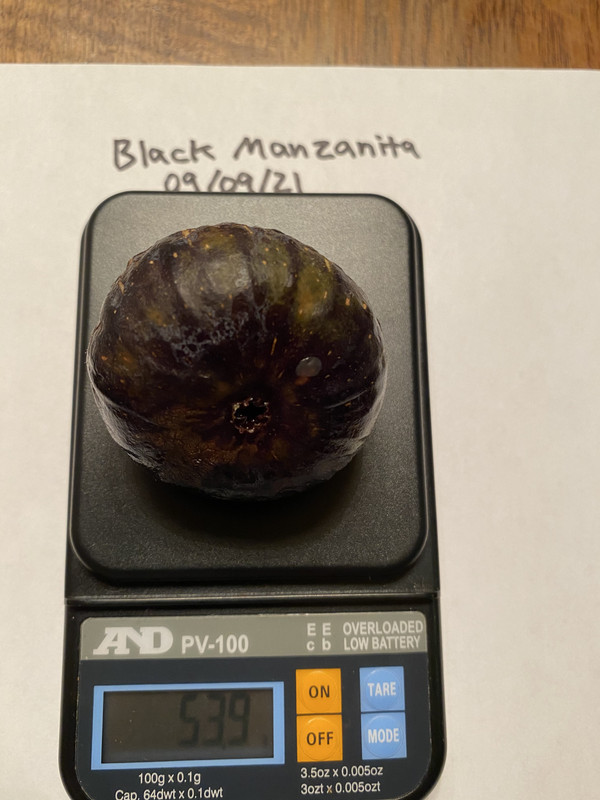 BA3AA006-A8F4-4D75-A4FD-9F4A065C43D2