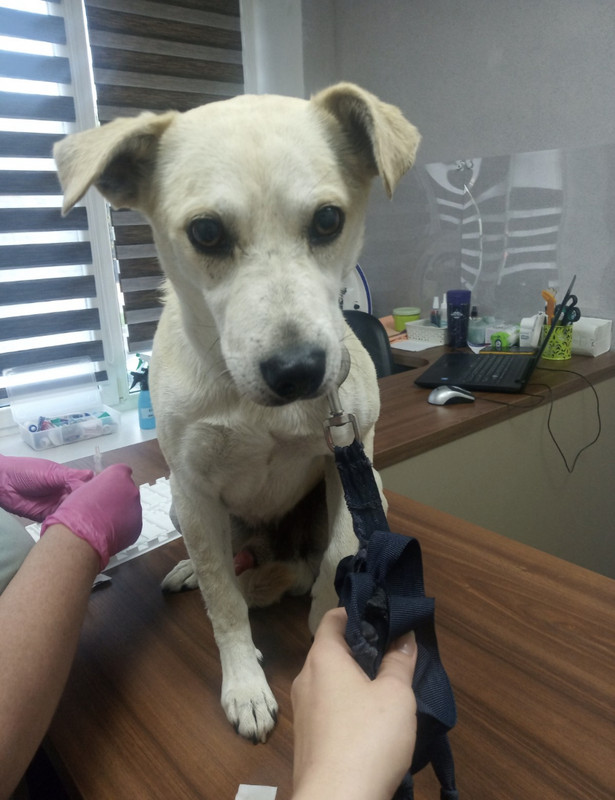 D70F774F-F48A-4B91-ADA5-428628CAE2B1