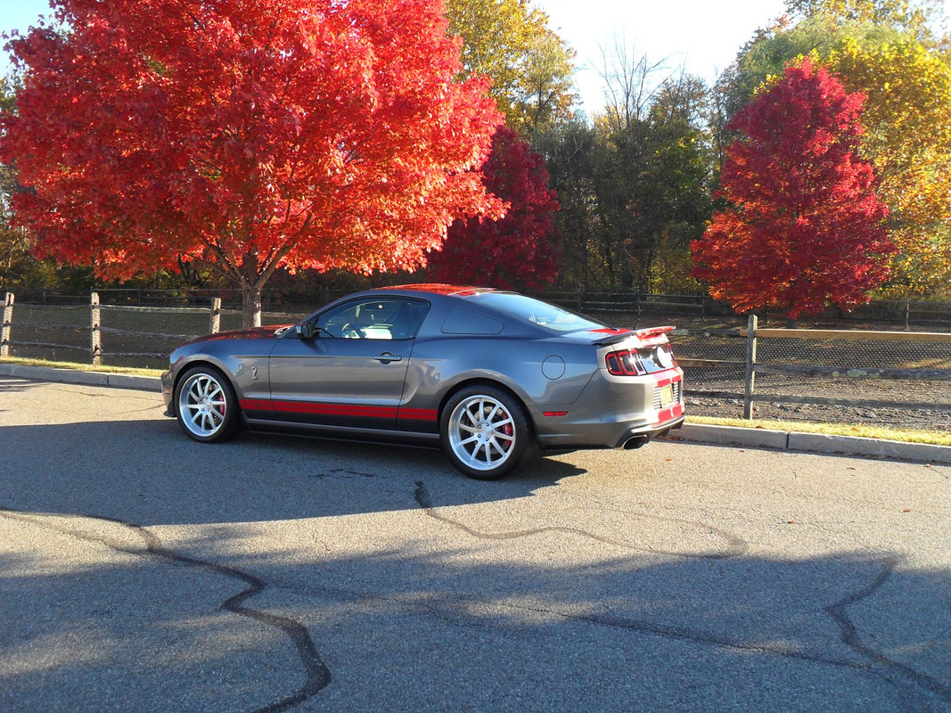 X-S/F Fall pic run - 2 068