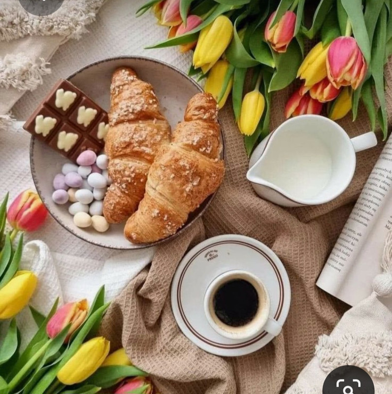 Screenshot_20230413_233336_Pinterest