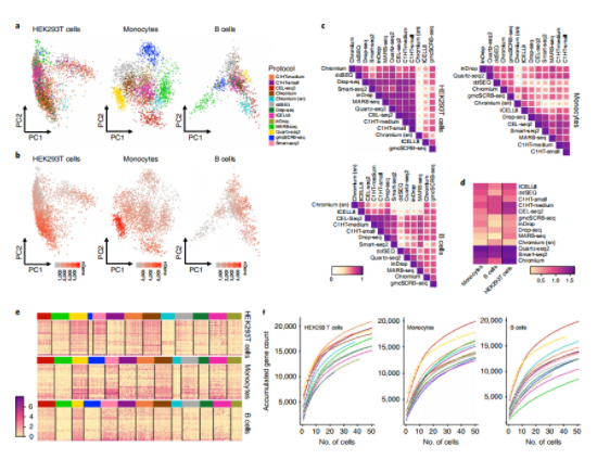 13种scRNA-seq技术基准测评报告-4.png