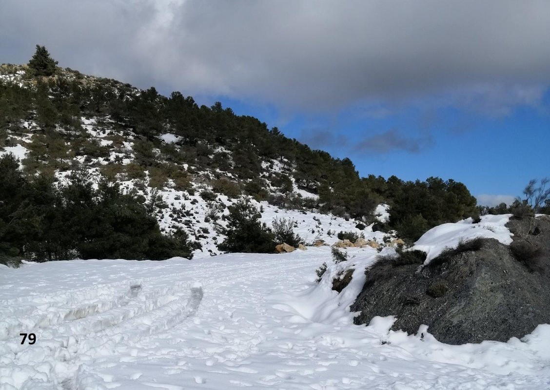 79 IMG_20200126_122438 ew