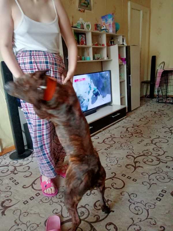 F7D5A0F1-9A20-4DF4-83DF-286F9423F4BF