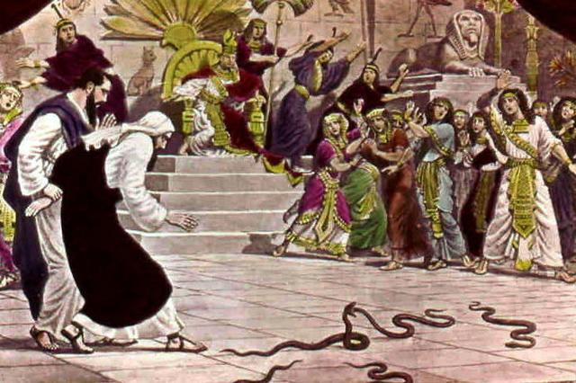 [Image: jannes-jambres.jpg]