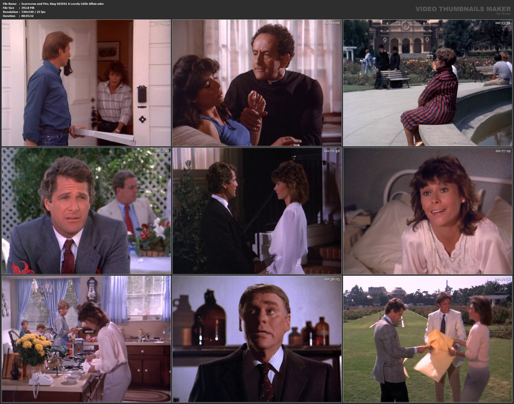 Scarecrow and Mrs. King S03E01 A Lovely Little Affair.mkv