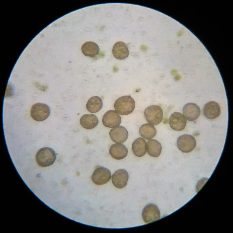 IMG 20250617 121326 HDR