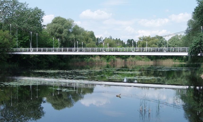 Підвісний міст