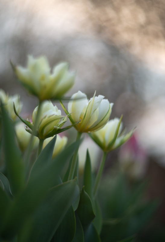 IMG-f45e38d64142bbae9fcce652eade1ad5-V