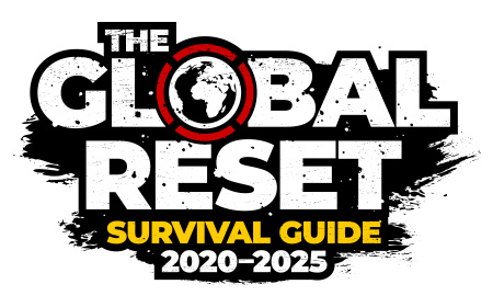 The-Global-Reset-Survival-Guide-450