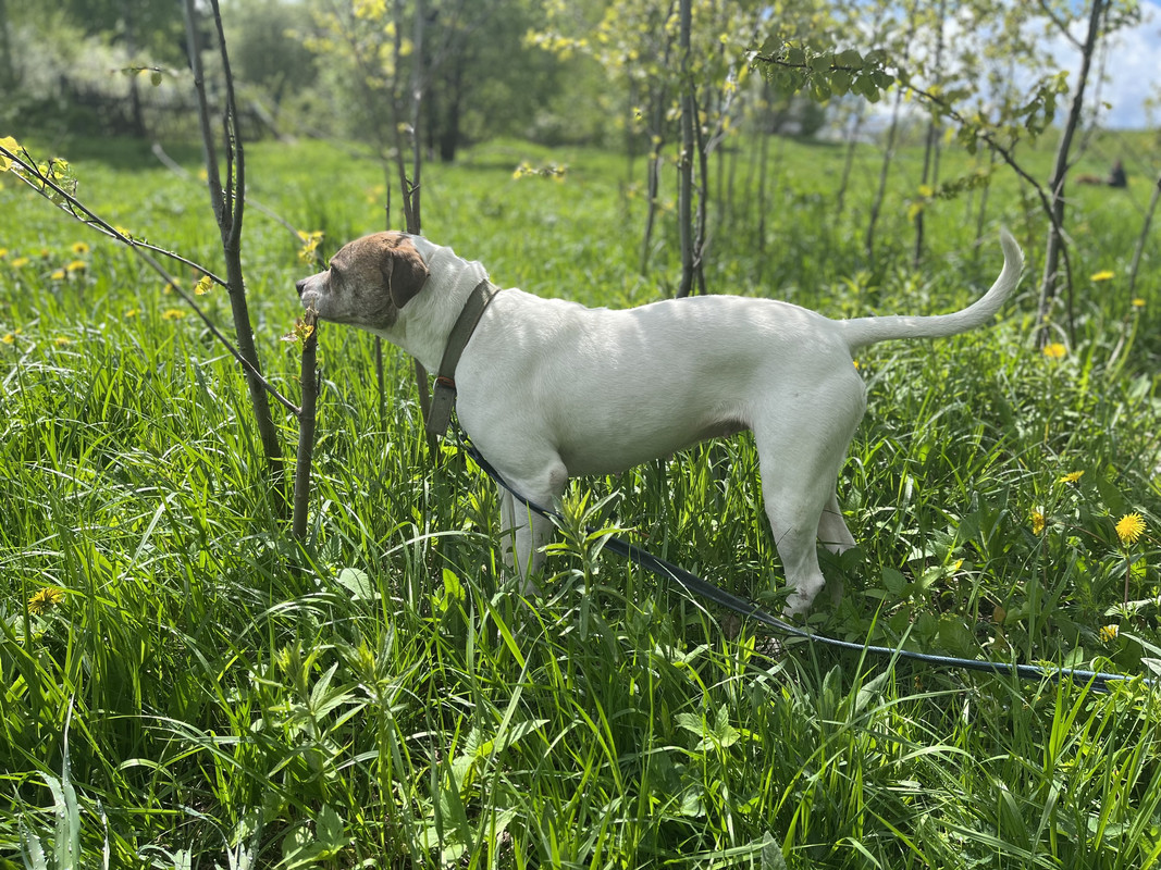 27C4E196-452D-46E4-BEDC-506EA18ACF2C