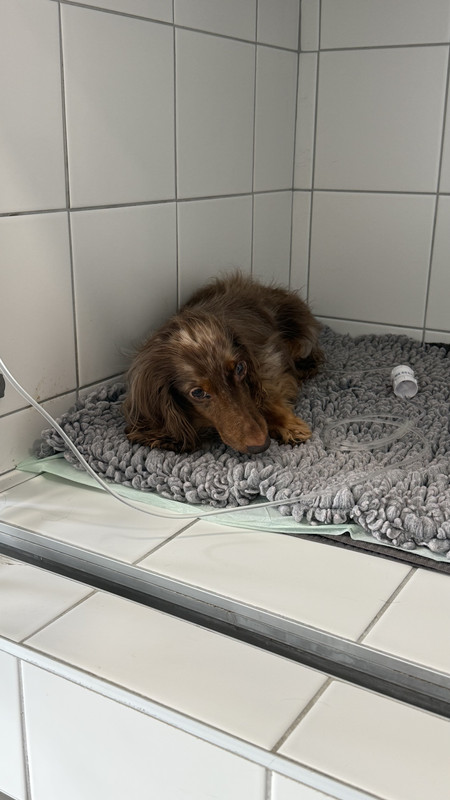 [Image: IMG-3128.jpg]