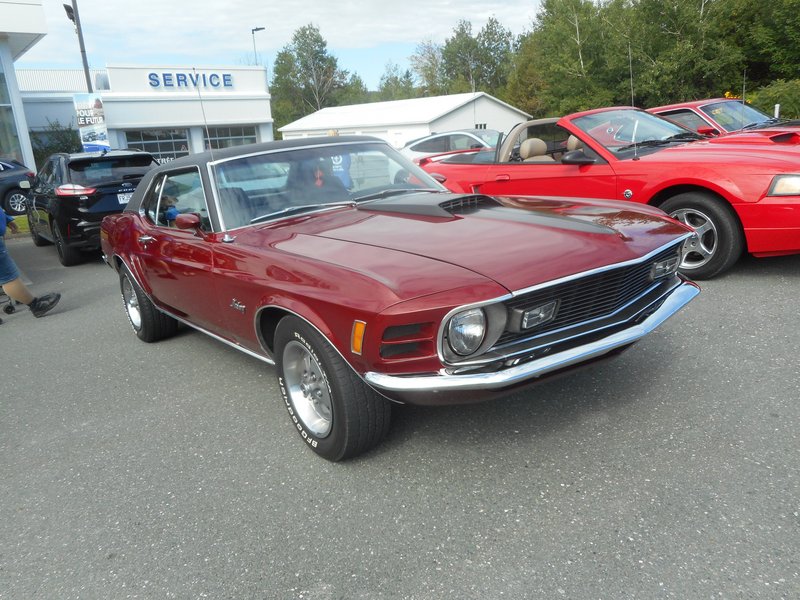 Rendez-Vous Mustang Cliche Auto Ford - 14 août 2022 Cliche2022-78