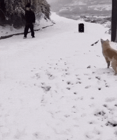 daily-gifdump-3430-26.gif