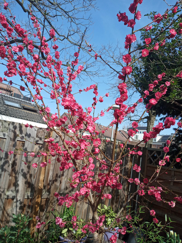 [Image: 20220325-122210.jpg]