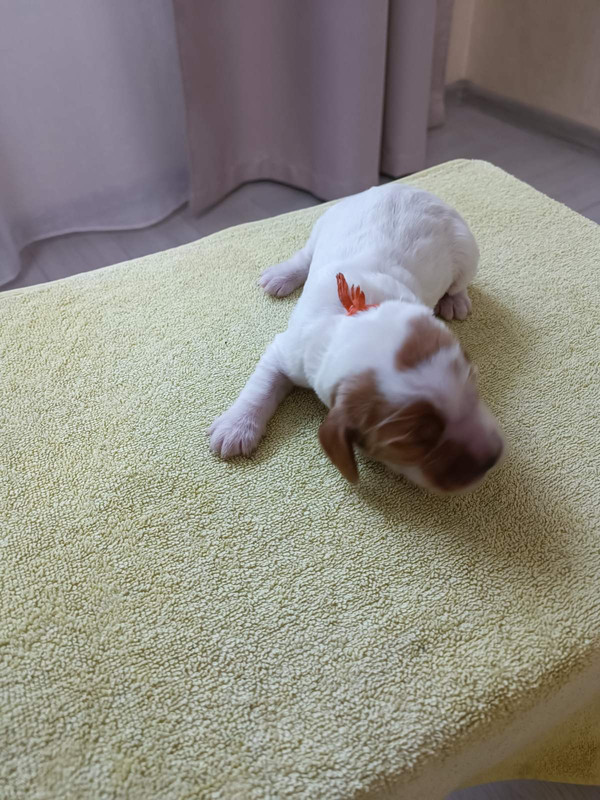 изображение_viber_2025-04-17_14-23-39-006