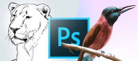 Learn to Draw and Paint in Photoshop
