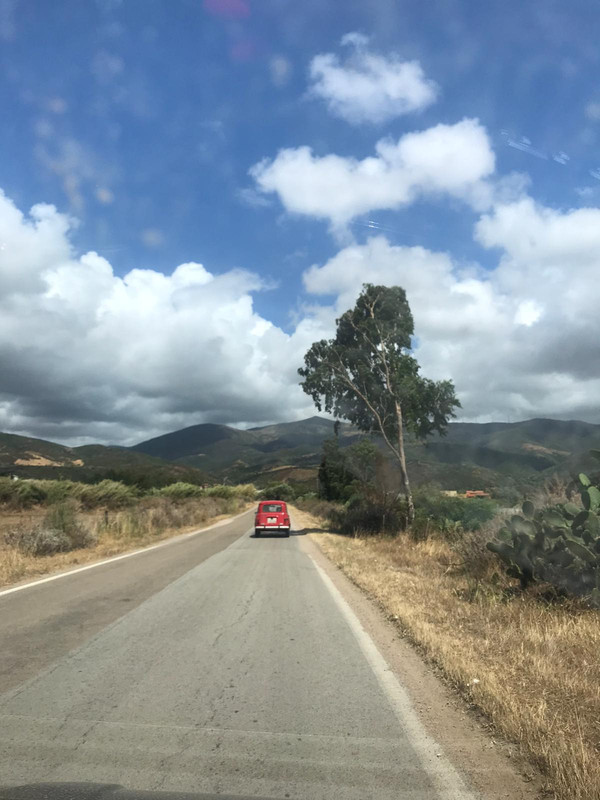 8920E991-DEE4-4212-B3E8-72E6A69C8590