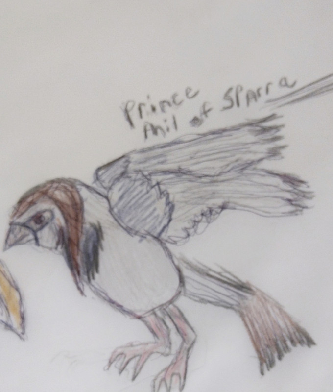 1619395221473-431acc18-54bf-453b-b038-c9528c7e563c_