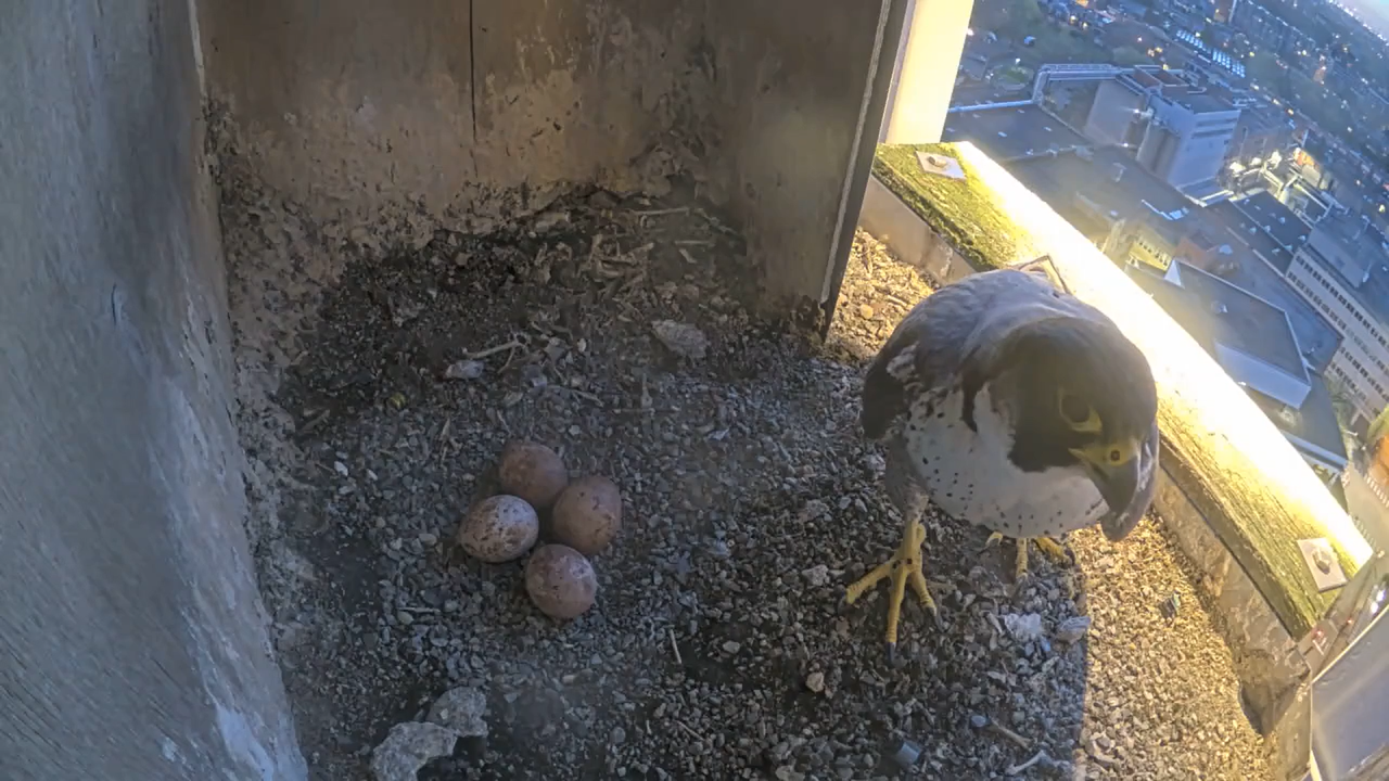 Schermafbeelding 2026 04 06 205512