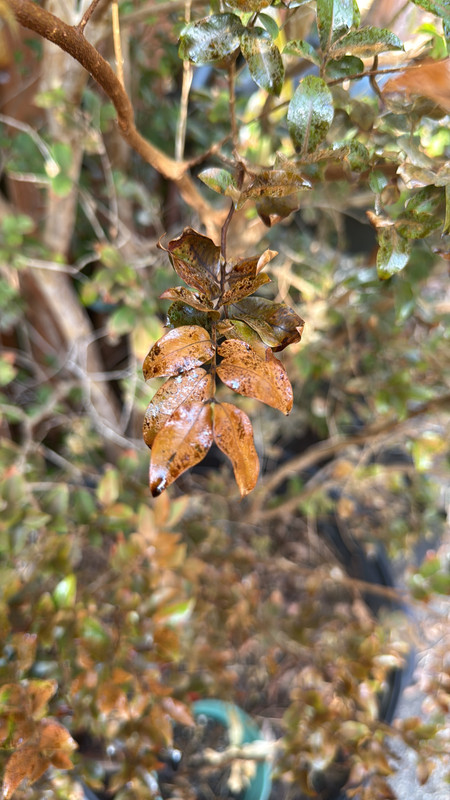 13C67F49-F492-4F3F-A165-164635D1B571