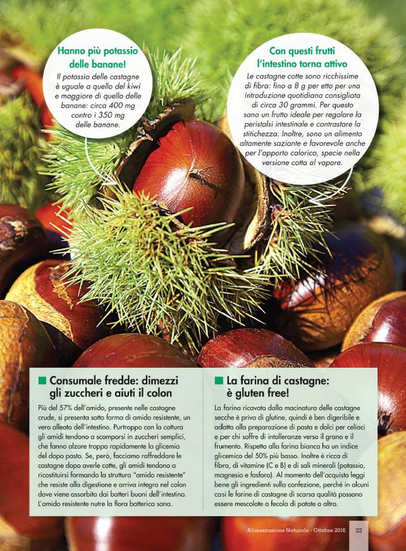 Alim Nat Ott 2016 (4)