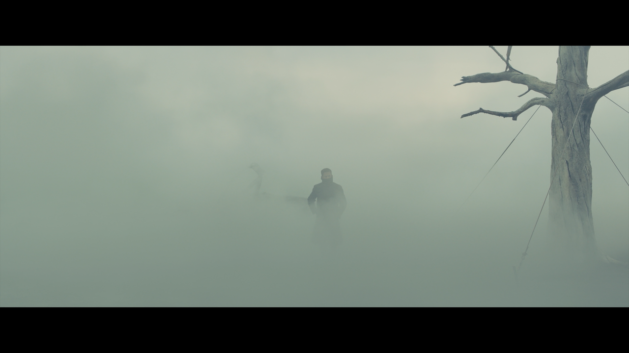 007
