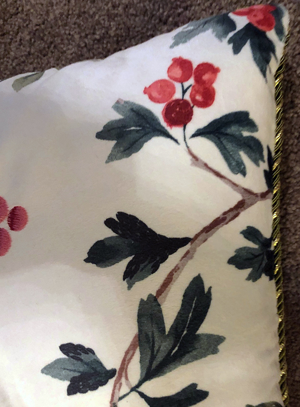 01birdpillowclosecardinalcorner
