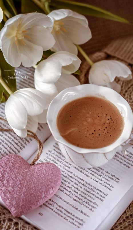 Screenshot_20221214-000629_Chrome