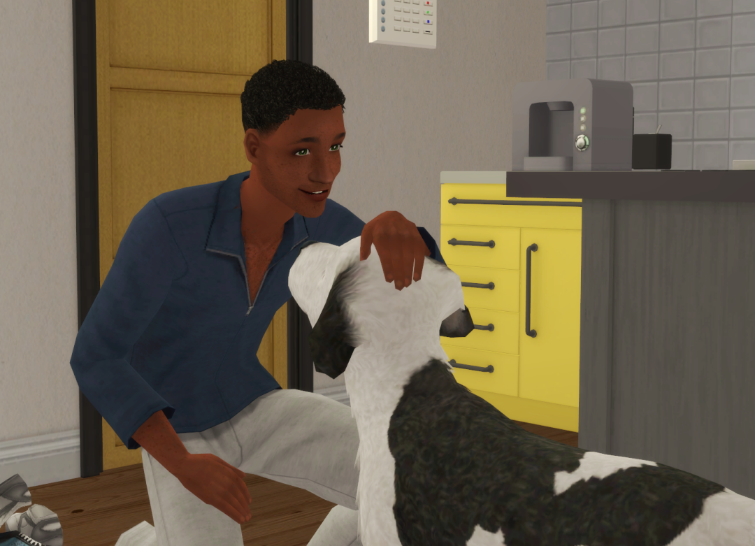 Sims2-EP9-RPC-2024-04-17-19-24-46-01