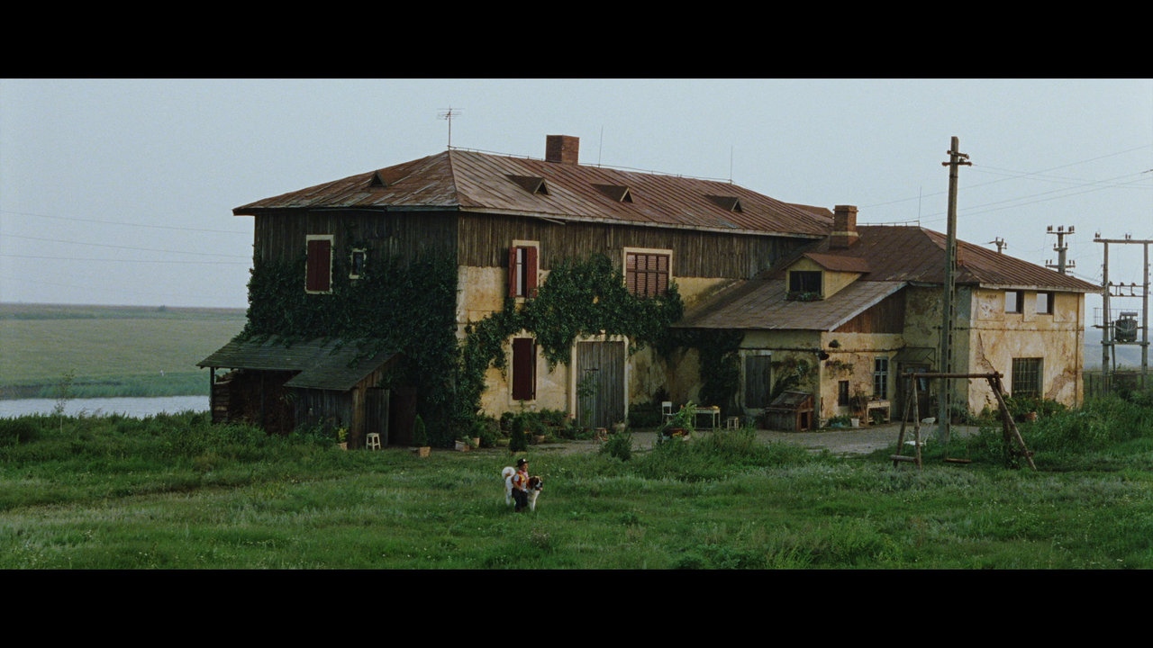 00002.mpls_snapshot_00.05.59_[2023.08.24_16.07.37]