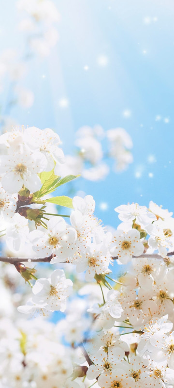 wallpaper20230306164741678