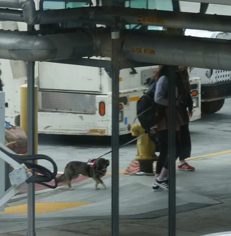 emmawatson-photogallery.blogspot.com (22)